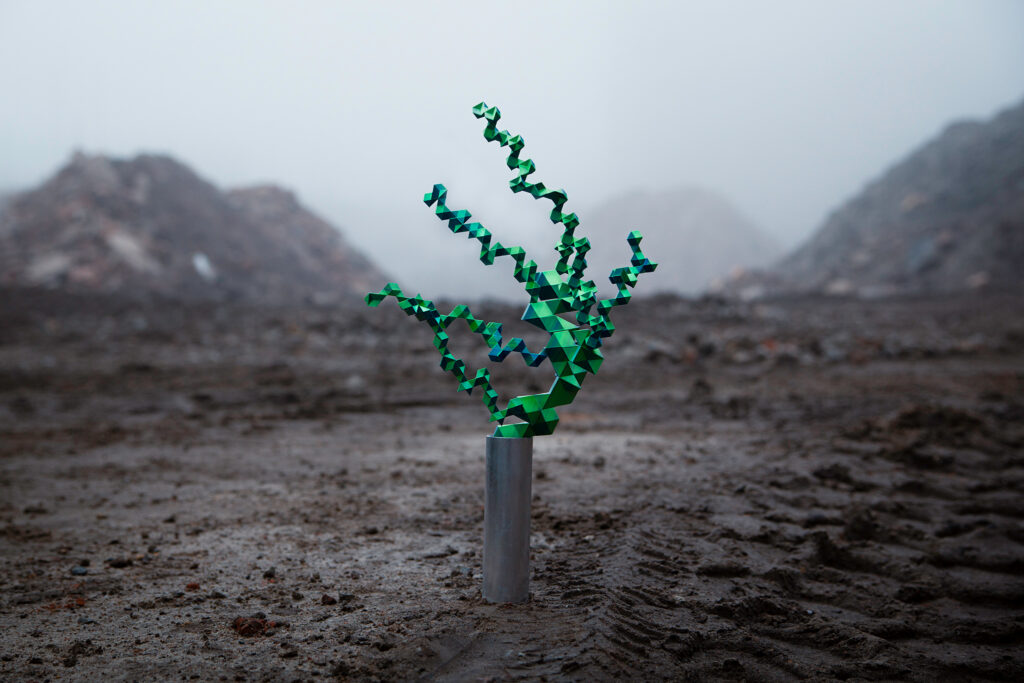 DB!_En_Kitani_Final_Web_1